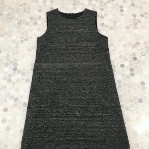 Eileen Fisher Minimalist Silk shift dress XXS (will fit Small)